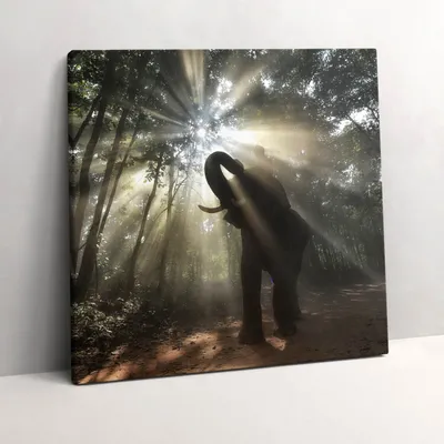 Produktbild von Elephant in the jungle – Leinwandbild Wandbild – 60x60 cm – Leinwandbilder – Wandbilder – Schlafzimmer – Flur