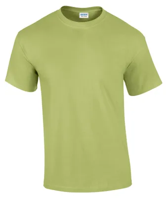 Productafbeelding van Gildan - Uni T-shirt voor heren/dames, model FK2634 (maat 3XL), kleur: pistaciegroen