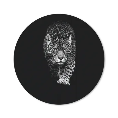 Produktbild von MuchoWow® Mauspad Mousepad Tiere - Schwarz - Leopard - Weiß - Wild 30x30 cm - Mousepads - Maus Mat - Pad - Mausunterlage - Tischunterlage - Schreibtischmatten