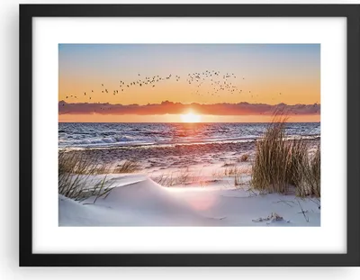 Produktbild von Gerahmtes Poster - Schwarzer Rahmen - Sonne Strand Vögel - 40x30 cm - Wand Bild - Wanddeko - Wandbilder - Kunstposter - Wandposter - Bilderrahmen - Bilder - Kunstdruck - P2BAA40x30-4727