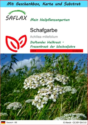 Produktbild von SAFLAX - Geschenk Set - Heilpflanzen - Schafgarbe - 200 Samen - Mit Geschenk- / Versandbox, Versandaufkleber, Geschenkkarte und Anzuchtsubstrat - Achillea millefolium