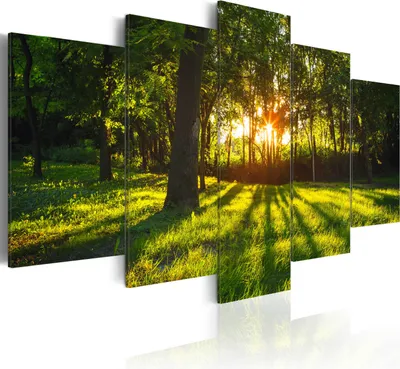Produktbild von Leinwandbilder 200x100 cm c-A-0076-b-o Vlies Leinwandbild 5 tlg Kunstdruck modern Wandbilder XXL Wanddekoration Design Wand Bild WALD NATUR LANDSCHAFT SONNENSCHEIN BÄUME