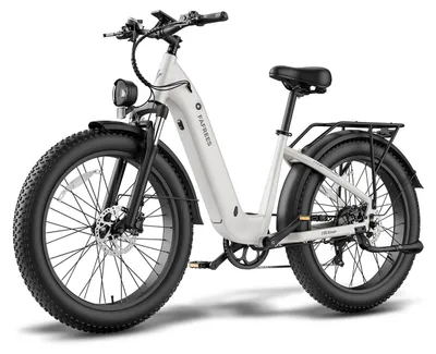 Produktbild von E-Bike Fatbike 250W 48V 20Ah Akku 70-95km Reichweite 26x4.0 Zoll Grau