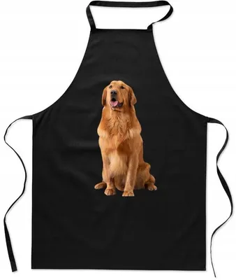 Produktbild von HaftNadruk Kochschürze Golden Retriever Motiv Modisch