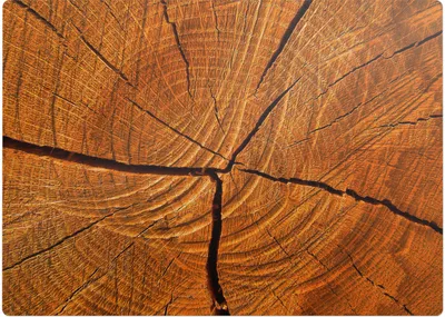 Produktbild von Holzmaserung – Bodenschutzmatte – Rutschfest – Schutzmatte für Büro – Vinylmatte – Stuhlunterlage  – 140 x 100 cm