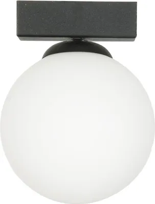 Image de Plafonnier noir, abat-jour en verre blanc E14 ARIAL 13-355