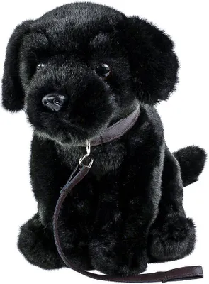 Produktbild von Teddys Rothenburg Plüschtier, schwarz, 35 cm, sitzend, mit Leine, Knopfaugen, Halsband