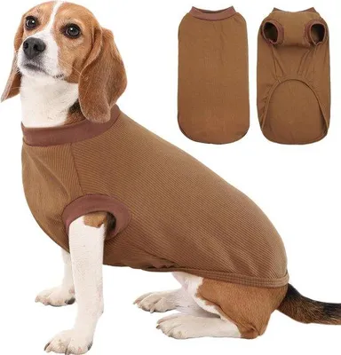 Produktbild von Famanu Hundepullover für mittelgroße Hunde - Braun