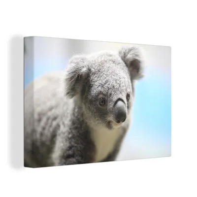 Obrázok produktu pre OneMillionCanvasses® - Maľba na plátne - Obraz na plátne Nástenná maľba na plátne - Koala - zblízka - Zviera - Deti - Chlapci - Dievčatá - 150x100cm -