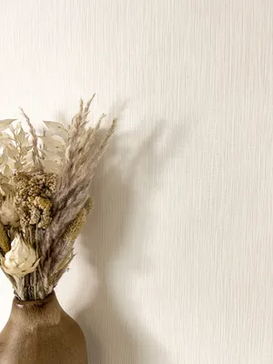 Produktbild von NEWROOM Tapete Tabris Creme Vliestapete - Modern Unifarbe Struktur  Germany
