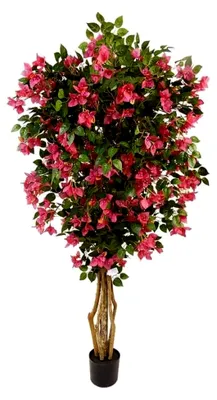 Produktbild von Künstliche Pflanze einer Bougainvillea in Grün und Rosa, 180 x 60 x 60 cm
