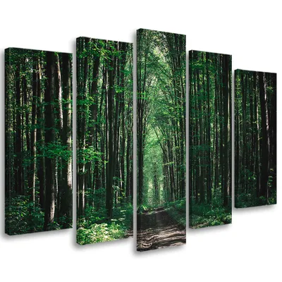 Image de Tableau en toile 5 pièces forêt verte nature 100 x 70 cm Feeby vert tableau mural prêt à accrocher