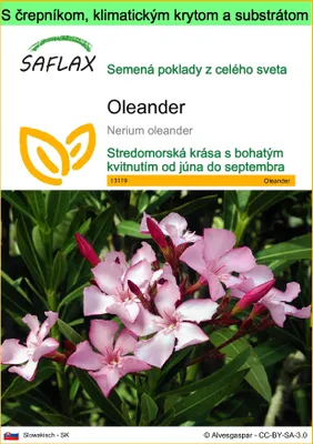 Obrázok produktu pre SAFLAX Garden to go - oleander - Nerium oleander - 50 Semená - S črepníkom, klimatickým vekom a pestovateľským substrátom