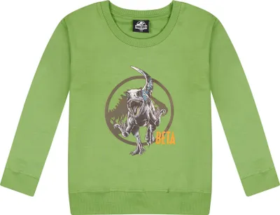 Produktbild von Jurassic World Beta Dino Kinder Jungen Sweatshirt Pullover Pulli Sweater       , Größe:152