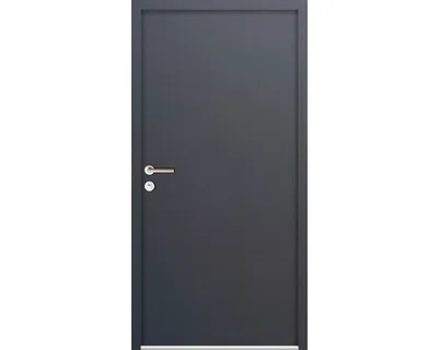 Obrázek produktu pro Vchodové dveře vedlejší Steel Standart 07 1000 x 2000 mm levé antracit