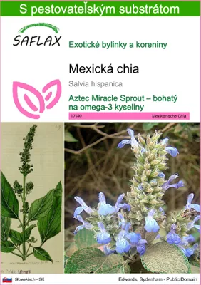 Obrázok produktu pre SAFLAX - Mexická chia - Salvia hispanica - 500 Semená - S pestovateľským substrátom bez klíčkov