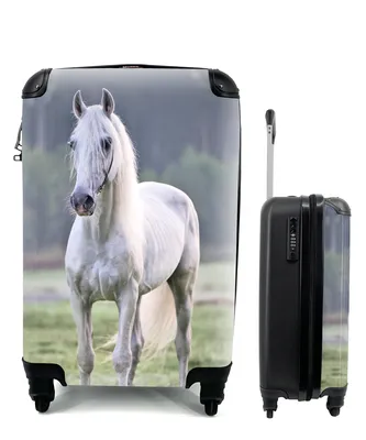 Obrázok produktu pre Kufrík Ručná batožina na kolieskach Malý cestovný kufor so 4 kolieskami Kôň - svetlo - ráno - Veľkosť kabíny < 55x40x23 cm & 55x40x20 cm - Foto kufor