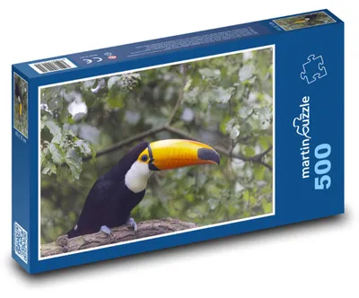 Obrázek produktu pro Puzzle 500 Tukan v tropickém lese - martinpuzzle