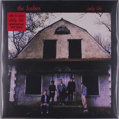 Zdjęcie produktu dla The Feelies - Only Life (Reissue) (Red Coloured) (LP)