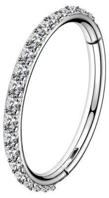 Productafbeelding van Dailygoody - Kraakbeen Oorbelring - 16G 14G - Roestvrij Staal - Helix Piercing - Kubische Zirkoon - Diverse Maten - Geschikt voor Neuspiercing