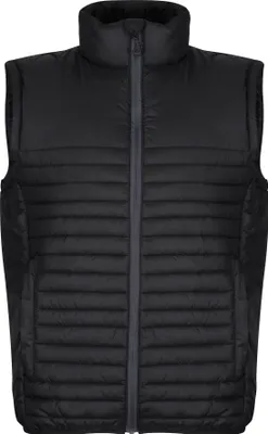Image de Regatta Professional - Gilet en matière recyclée pour homme RG10135 (L) (Noir)