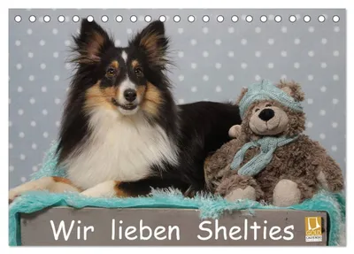 Produktbild von Wir lieben Shelties (Tischkalender 2027 DIN A5 quer), CALVENDO Monatskalender
