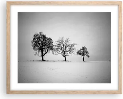 Produktbild von Gerahmtes Poster - Rahmen in heller Eiche - Winter Bäume Schnee - 50x40 cm - Wand Bild - Wanddeko - Wandbilder - Kunstposter - Wandposter - Bilderrahmen - Bilder - Kunstdruck - P2NAA50x40-4958