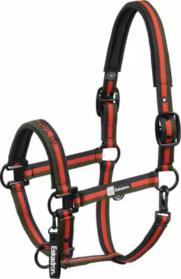 Produktbild von Eskadron DYNAMIC Halfter mit beidseitigem Dornschnallenverschluss " DOUBLE PIN " Größe - Pony1 Farbe - black-poppy red-deep green