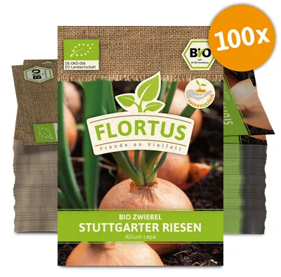 Artikelbild 1 von 'BIO Zwiebel Stuttgarter Riesen (100 Stück)' aus der Kategorie Zwiebelsamen