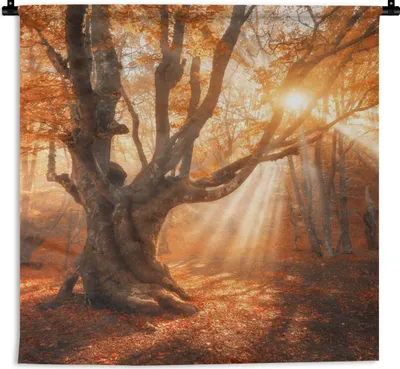 Produktbild von MuchoWow® Wandteppich Wandbehang Baum - Natur - Herbst 60x60 cm Tapisserie Dekoration Wandtuch - Dekorationen - Wand Decke