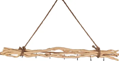 A hanging branch with hooks against a white background.