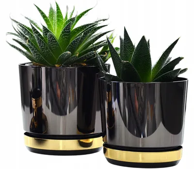 Produktbild von Kerd DEKOR 12 DUO Topf Schwarz Gold Glanz Modern