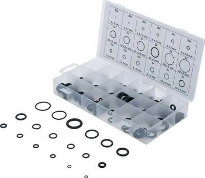 Obrázek produktu pro BGS technic O-Ring Assortment, 118 mm, 118 g