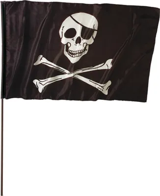 Produktbild von WIDMANN Piratenfahne mit Halter schwarz 120x70cm