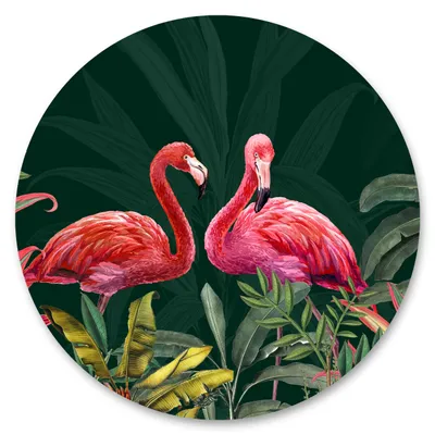 Immagine prodotto di Adesivo cerchio FLAMINGOS foglie tropicali piante animali giungla natura soggiorno ufficio parete tatuaggio adesivo 100 cm x 100 cm