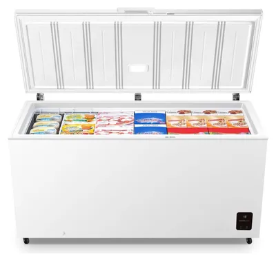 Image de Gorenje FH50EAW Congélateur bahut 500 litres, 20012818