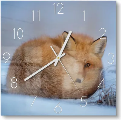 Produktbild von DEQORI Glasuhr 30x30 cm Zahlen 'Schüchtener Fuchs' Wanduhr Glas Uhr Design leise