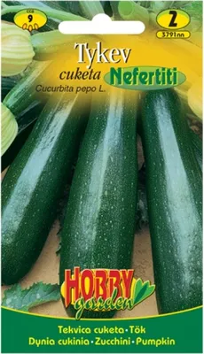 Image de Courgette zucchini vert NEFERTITI
