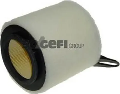 Immagine prodotto di Filtro dell'aria PURFLUX A1201 per BMW Serie 3 Touring (E91)