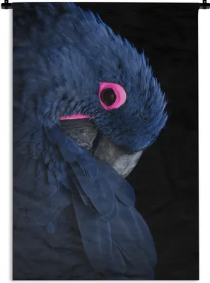 Produktbild von MuchoWow® Wandteppich Wandbehang Papagei - Vogel - Blau 60x90 cm Tapisserie Dekoration Wandtuch - Foto-Teppich - Abwaschbar