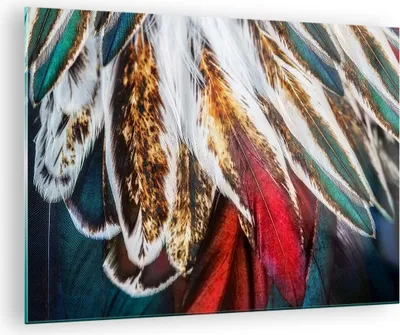 Produktbild von Bilder auf glas - Federn Federn Vogel - 70x50cm - Glasbilder - Wandbilder - Kunstdruck - zum Aufhängen bereit - Wanddekoration aus Glas - Glas Bilder - Wandbild auf Glas - Einteilig - GAA70x50-3743