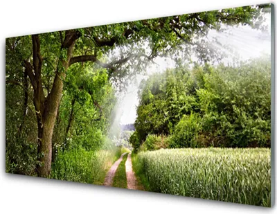 Produktbild von Acrylglasbilder 100x50 Wandbild Druck Bäume Fußpfad Natur