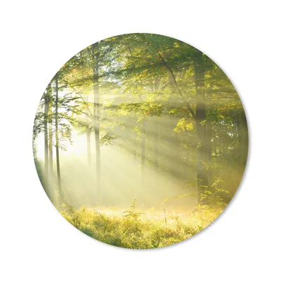 Produktbild von MuchoWow® Mauspad Mousepad Wald - Licht - Frühling 30x30 cm - Mousepads - Maus Mat - Pad - Mausunterlage - Tischunterlage - Schreibtischmatten