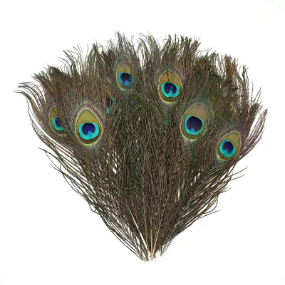 Productafbeelding van 20 Pavoenveren, 25-30 cm lang, voor decoratie en knutselwerk