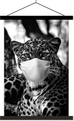 Produktbild von MuchoWow® Textilposter Gepard mit blauem Mund und strahlend blauen Augen - schwarz-weiß 120x180 cm mit schwarzem Rahmen - Fotos