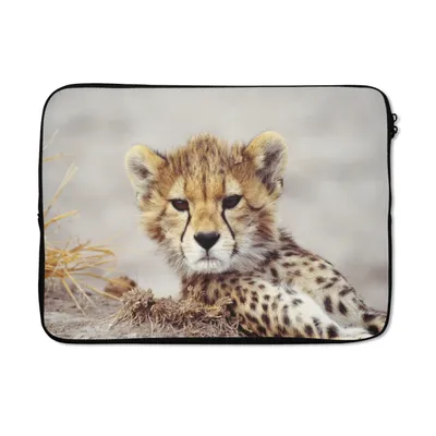 Produktbild von MuchoWow® Laptop Hülle 14 ZollGepard - Jung - Porträt Laptoptasche - Laptoptasche - Stoßsicher - Schutzhaube
