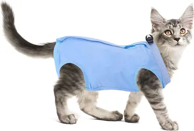 Produktbild von Cat Professioneller Erholungsanzug für Bauchwunden oder Hautkrankheiten nach Operationen E Halsband Alternative für Katzen Anti Lecken Pyjama Anzug (Blau, Größe M)