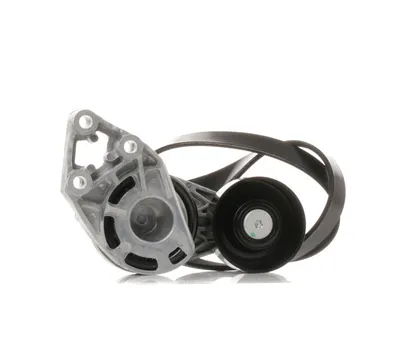 Produktbild von RIDEX 542R0356 Keilrippenriemensatz für VW POLO (9N)