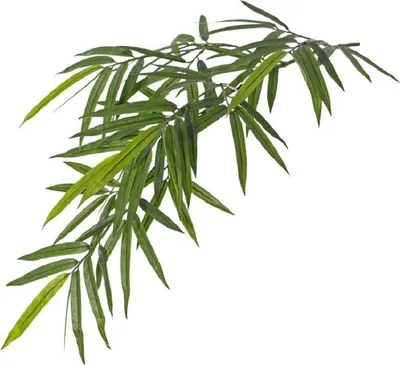 Produktbild von Kunstliche Pflanze Bambus - grun - UV-bestandig - 82 cm