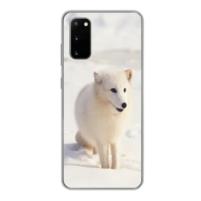 Produktbild von MuchoWow® Handyhülle Schutzhülle Hülle für Samsung Galaxy S20 Fuchs - Schnee - Weiß Silikon Softcase Handy Hülle - Bild